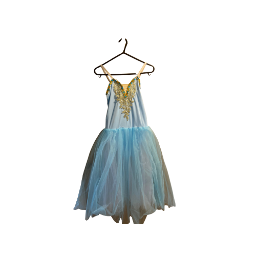 Pale Blue w/Gold Romantic Tutu