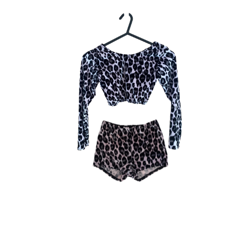 Animal Print Crop Top & Shorts
