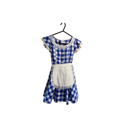 Blue & White Checked Dress