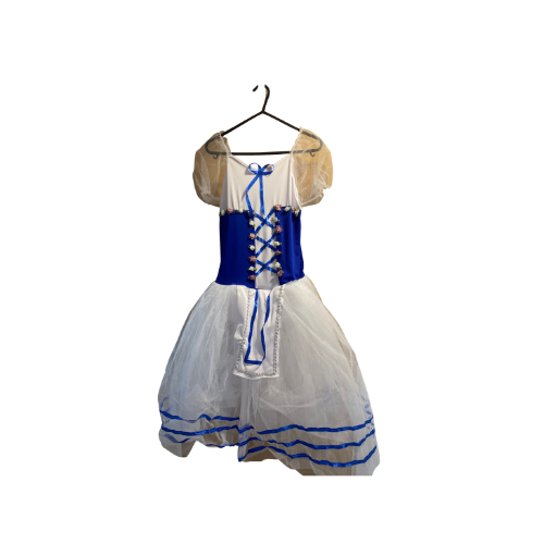 Character Style Blue Corset Tutu