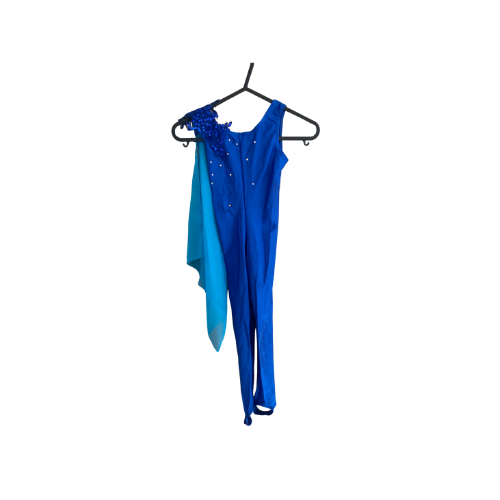 Blue Catsuits (navy/blue/turquoise)