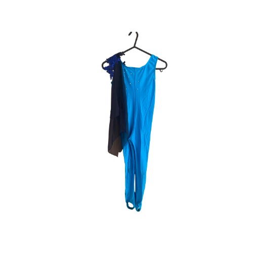 Blue Catsuits (navy/blue/turquoise)
